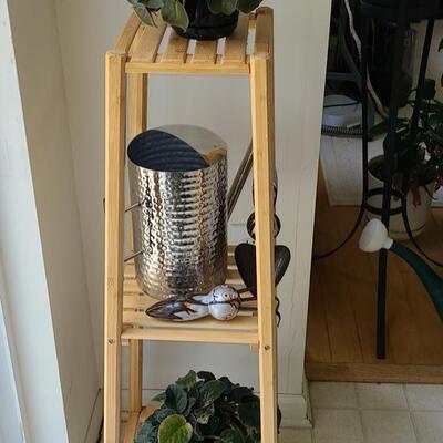 Lot 142: Plant Stand, Live Plants, Watering Can & Tools 