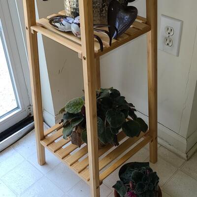 Lot 142: Plant Stand, Live Plants, Watering Can & Tools 
