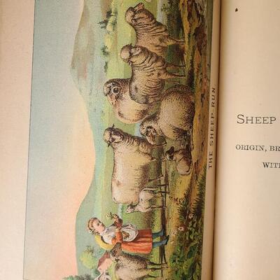 Lot 144: Vintage Bombay Curio Display Table & Antique Farm/Husbandry Book 