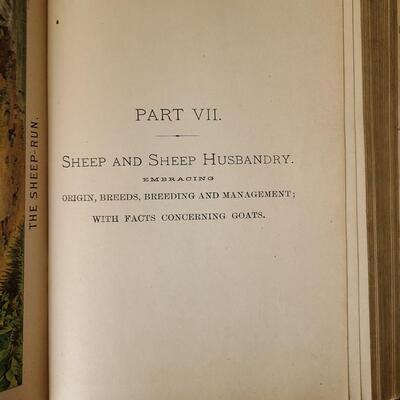 Lot 144: Vintage Bombay Curio Display Table & Antique Farm/Husbandry Book 