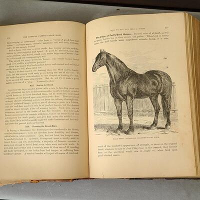 Lot 144: Vintage Bombay Curio Display Table & Antique Farm/Husbandry Book 