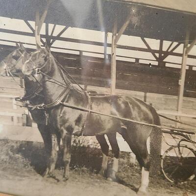 Lot 113: Vintage/Antique Black & White Photos of Men (Cars/Horse & Buggy etc)