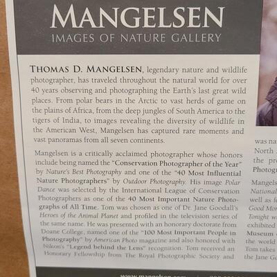 Lot 418U: Framed Landscape Artwork signed by Thomas D. Mangelsen 