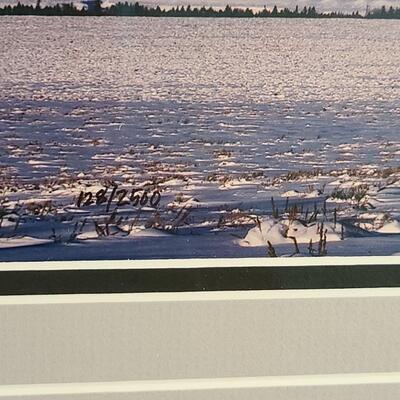 Lot 418U: Framed Landscape Artwork signed by Thomas D. Mangelsen 