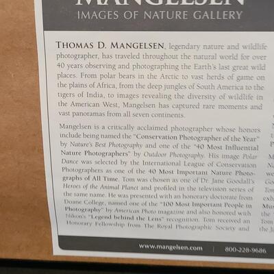 Lot 418U: Framed Landscape Artwork signed by Thomas D. Mangelsen 