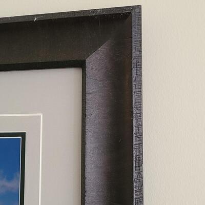 Lot 418U: Framed Landscape Artwork signed by Thomas D. Mangelsen 