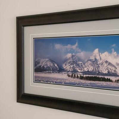 Lot 418U: Framed Landscape Artwork signed by Thomas D. Mangelsen 
