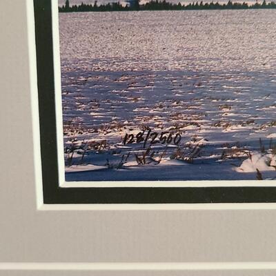 Lot 418U: Framed Landscape Artwork signed by Thomas D. Mangelsen 