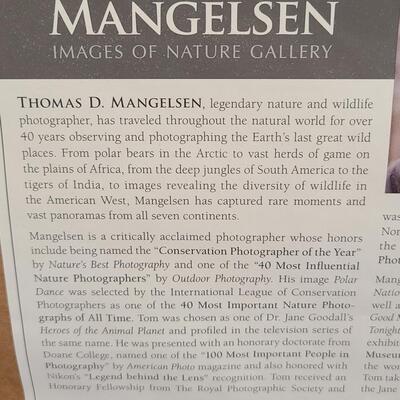 Lot 418U: Framed Landscape Artwork signed by Thomas D. Mangelsen 