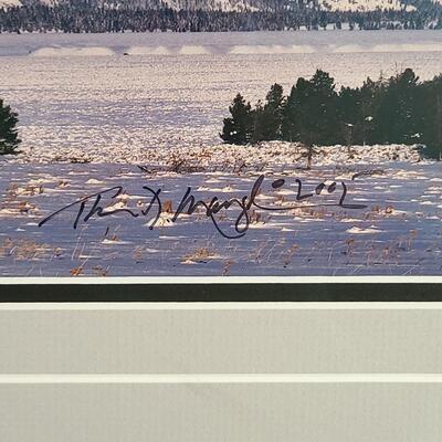 Lot 418U: Framed Landscape Artwork signed by Thomas D. Mangelsen 