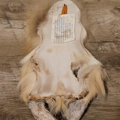 Lot 511: Handcarved Alaskan Black Cottonwood Bark Carving by DAVE HENDREN with Reindeer & Other Real Fur