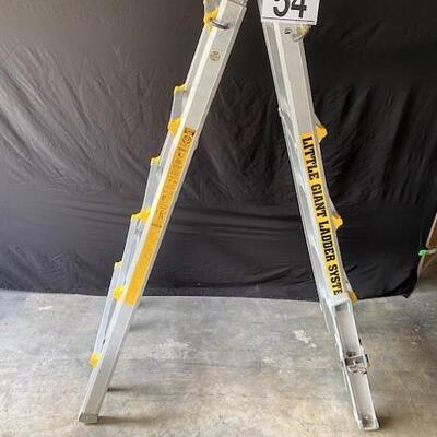 LOT#D54: Little Giant Ladder System