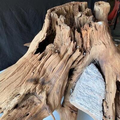 LOT#D66: Extra Large Freshwater Driftwood