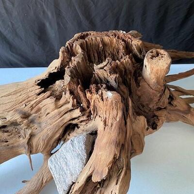 LOT#D66: Extra Large Freshwater Driftwood