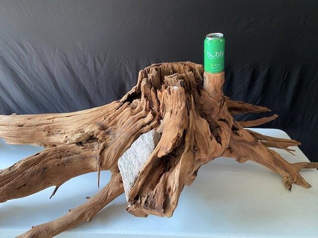 large fresh water drift wood large fresh water drift wood