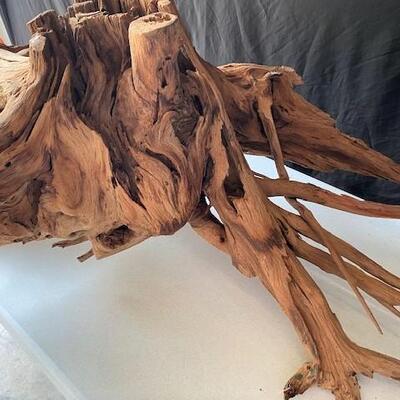 LOT#D66: Extra Large Freshwater Driftwood