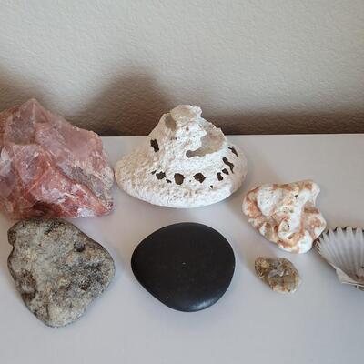 Lot 577: Rocks, Shell and Coral
