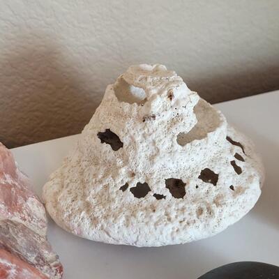 Lot 577: Rocks, Shell and Coral