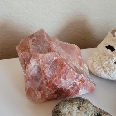 Lot 577: Rocks, Shell and Coral