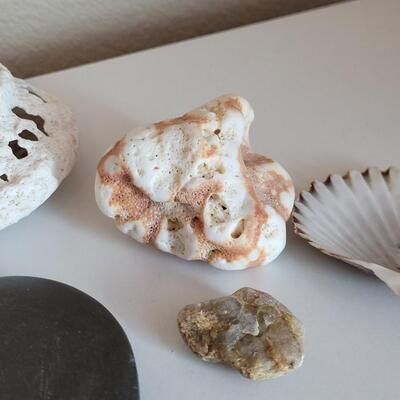 Lot 577: Rocks, Shell and Coral