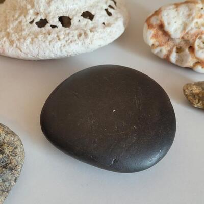 Lot 577: Rocks, Shell and Coral