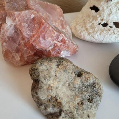 Lot 577: Rocks, Shell and Coral