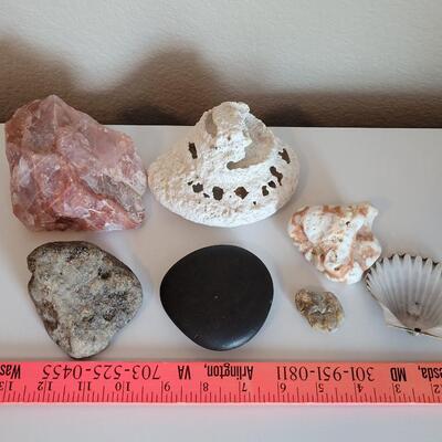 Lot 577: Rocks, Shell and Coral