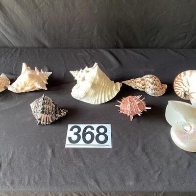 LOT#A368: Shell Lot #1