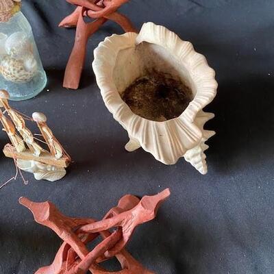 LOT#A369: Shell & Coral Lot #2