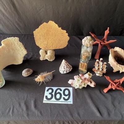 LOT#A369: Shell & Coral Lot #2