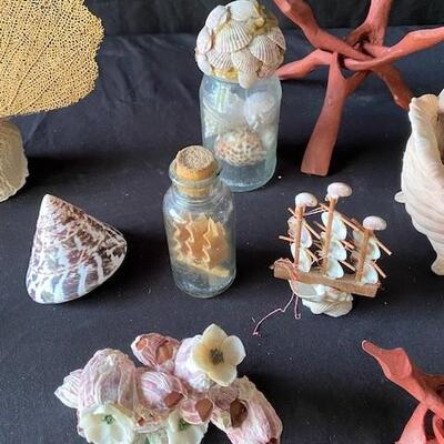 LOT#A369: Shell & Coral Lot #2