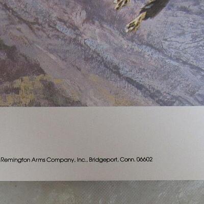Remngton Arms Co 1975 Bald Eagle, Litho USA