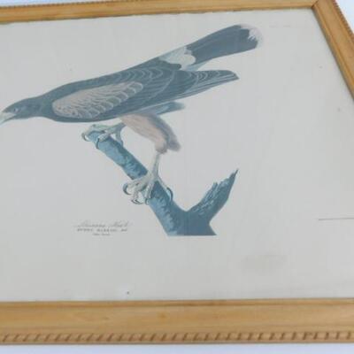 Pair of Vintage Framed Prints 