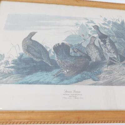 Pair of Vintage Framed Prints Ducks and Quail
