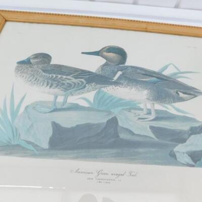 Pair of Vintage Framed Prints Ducks and Quail