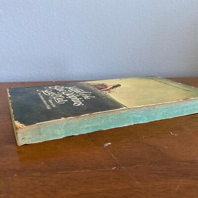 Island of the Blue Dolphins Scott O'Dell Paperback Classic