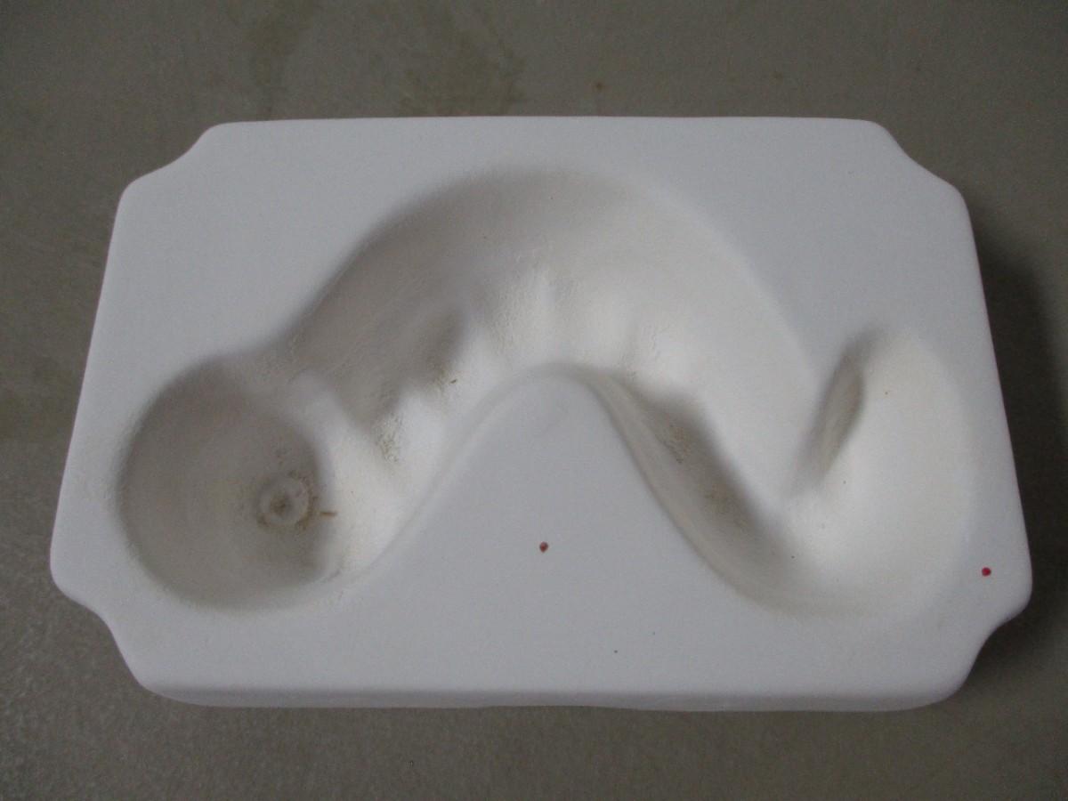 Glass Kiln Slumping Molds Frog Worm