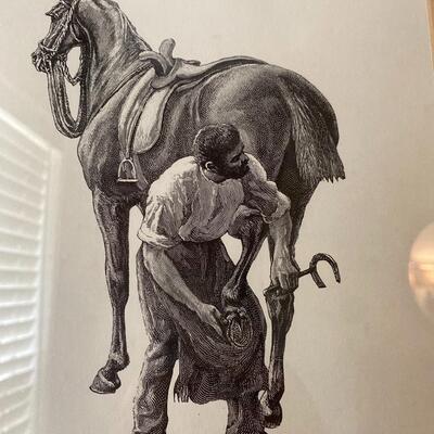 Horse Farrier Print
