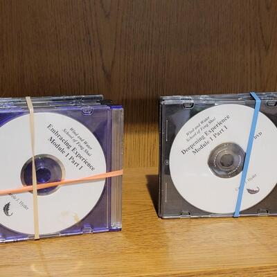 Lot 69: Feng Shui Deepening Experience and Embracing Experience CD's 