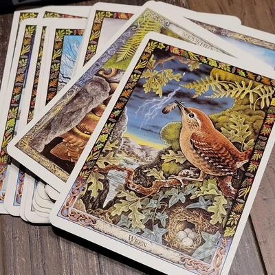 Lot 71: Druid Animal Oracle Book & Cards 