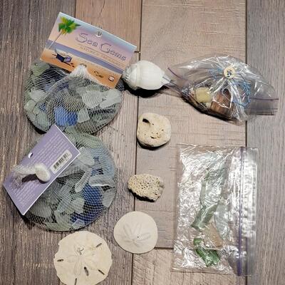 Lot 124: Sea Glass and Shells Lot
