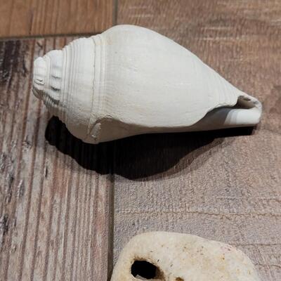 Lot 124: Sea Glass and Shells Lot