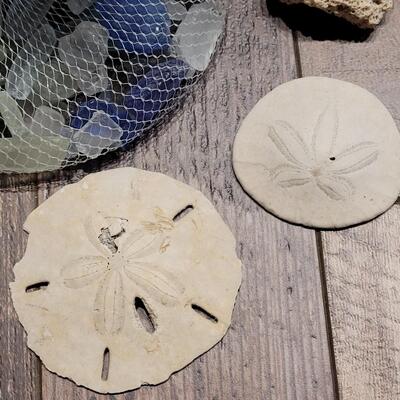 Lot 124: Sea Glass and Shells Lot