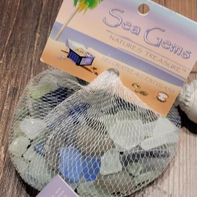 Lot 124: Sea Glass and Shells Lot