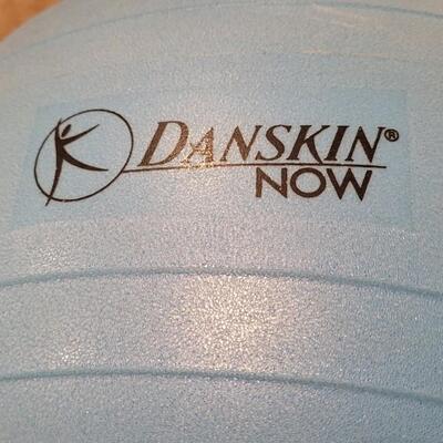 Lot 176: Exercise Ball Light Blue VT DANSKIN NOW