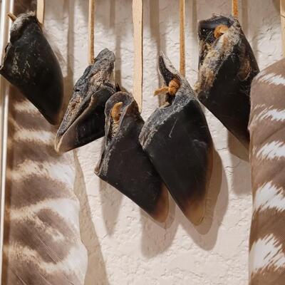 Lot 178: Native American Dream Catcher with Turtle Shell  