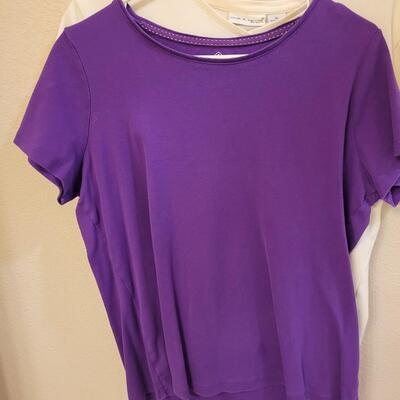 Lot 235: Ladies Short Sleeve Shirts (5)