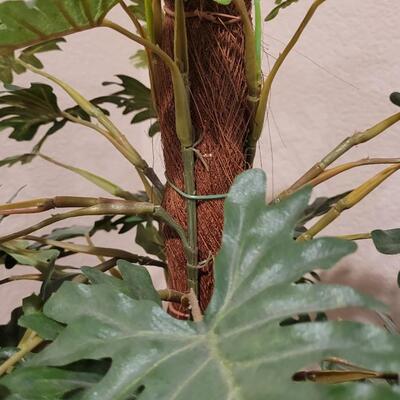 Lot 249: Silk Small Tree