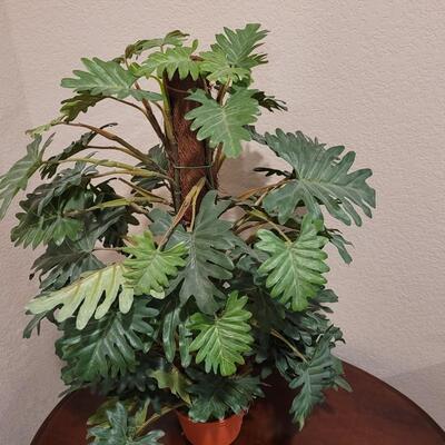 Lot 249: Silk Small Tree