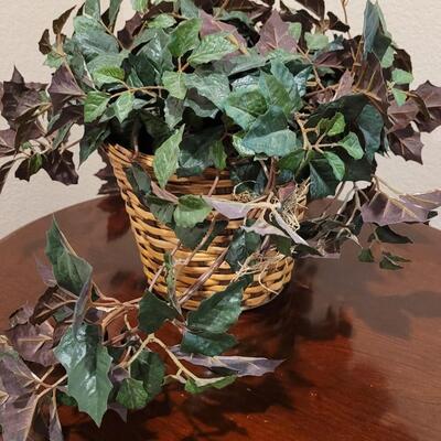 Lot 251: Silk Ivy 